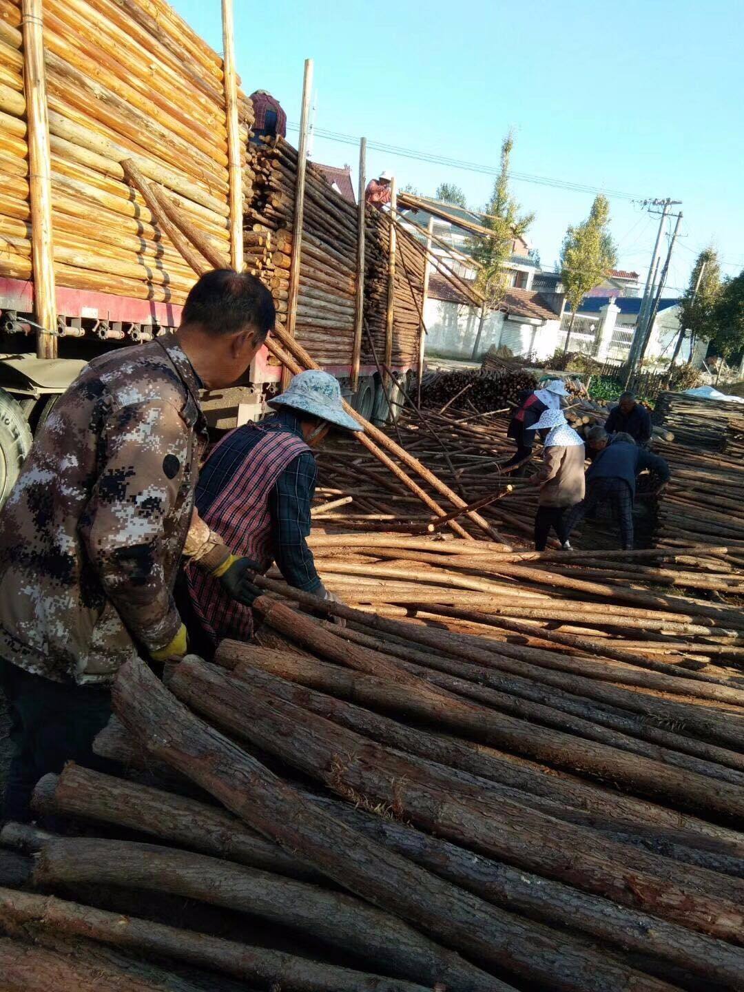 廣州到開封回頭車公司