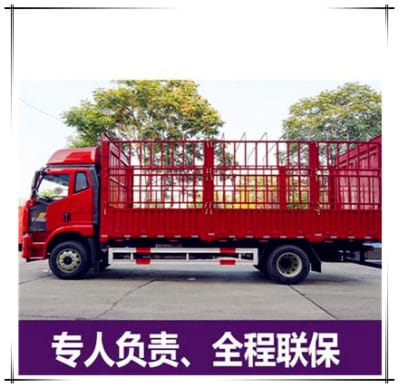 惠州到阿合奇貨運公司