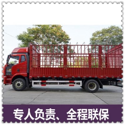 深圳到恩平市物流貨運(yùn)直達(dá)專線-深圳到恩平貨運(yùn)公司-運(yùn)費(fèi)價(jià)錢