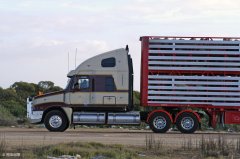 深圳到阿勒泰零擔(dān)物流運(yùn)輸公司零擔(dān)物流哪家好-查看詳情